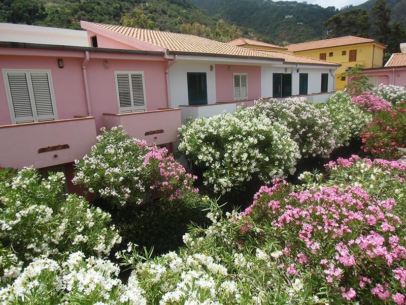 Villaggio Hotel Club Calanovellamare Piraino Exterior foto